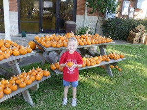 pumpkin patch 2