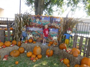 pumpkin patch 4