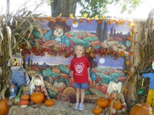 pumpkin patch 5