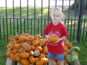 pumpkin patch 6