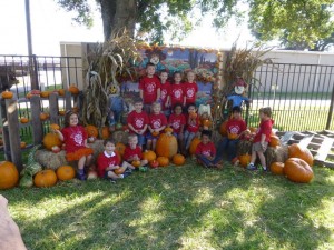 pumpkin patch 7