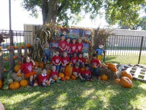 pumpkin patch 8