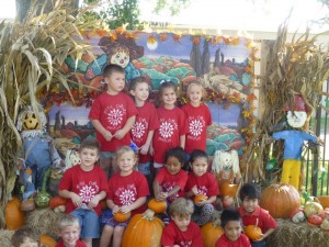 pumpkin patch 9