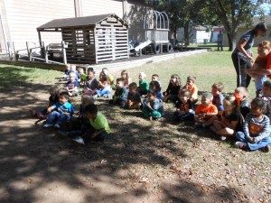 pumpkin volvano 2014 13